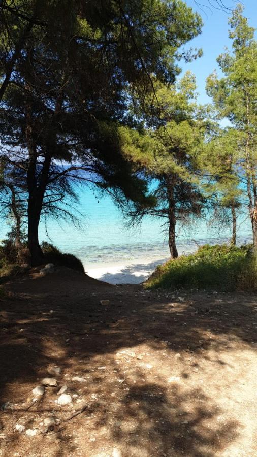 Villa Sandra Kriopigi Bagian luar foto